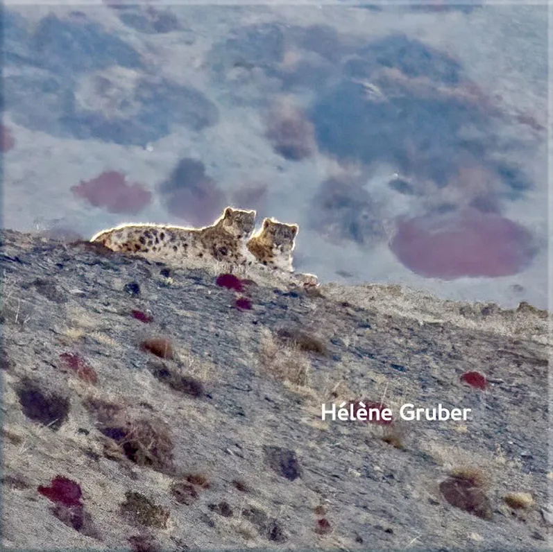Voyages/Ladakh.webp